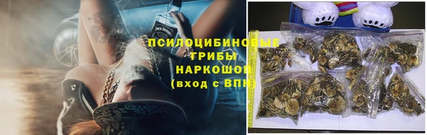 a pvp Медногорск
