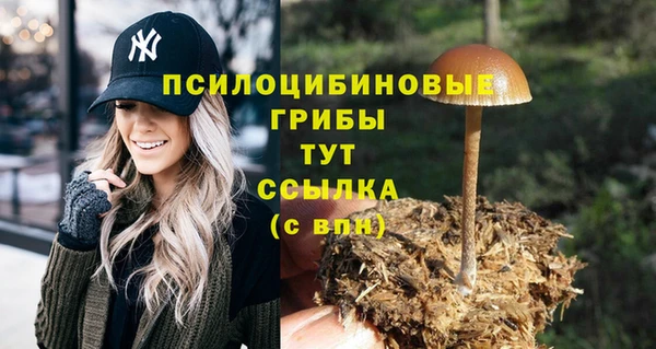 кокаин колумбия Михайлов