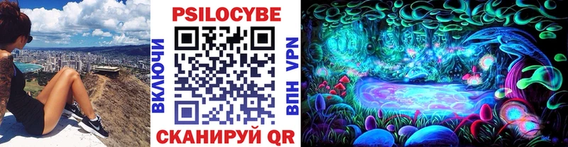 Галлюциногенные грибы мицелий  купить   Крымск 