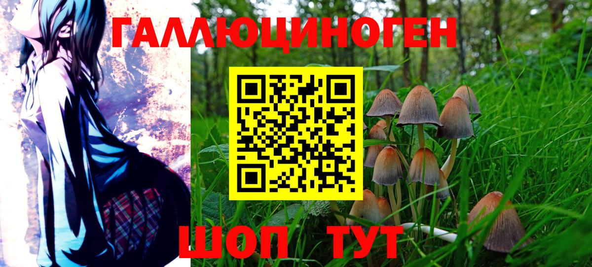 Псилоцибиновые грибы мухоморы Крымск